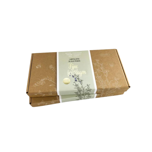 Cadeaudoosje - Fijne feestdagen