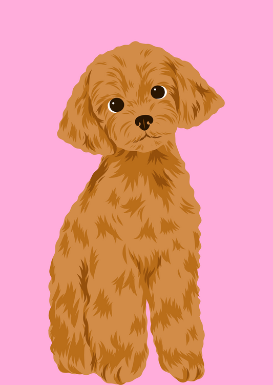 Wenskaart Toypoedel roze